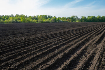 Fototapeta na wymiar A field of black soil. Ploughed field in spring. Agricultural background. Arable land.