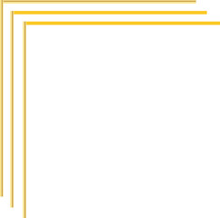 gold line border frame decoration