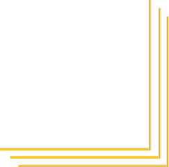 gold line border frame decoration