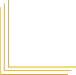 gold line border  decoration
