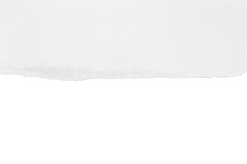 Obraz premium Torn white paper with shadow. Isolated