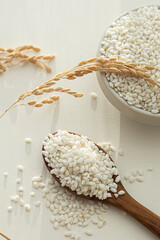 rice plants with white rice on white.