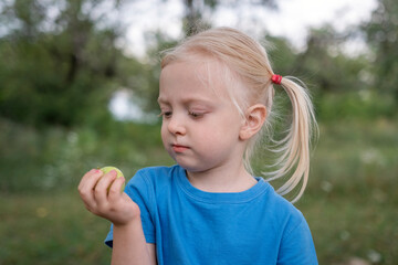 Little girl with blonde hair gathered in ponytails holds green apple in hand. Child spends time in nature