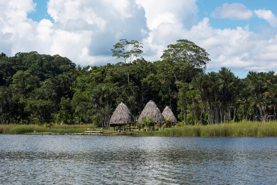 Picturesque and exotic lagoon with clean water El Milagro, loggon milagros with wooden house and thatched roof stilt houses Amazon jungle Tingo Maria Peru-Oct 2020