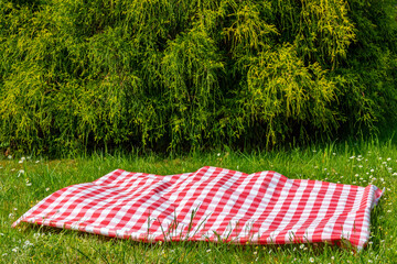 Red picnic cloth. Red checked picnic blanket with a empty basket on a meadow with daisies in bloom....