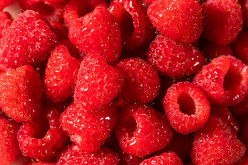 Raw Organic Red Raspberries