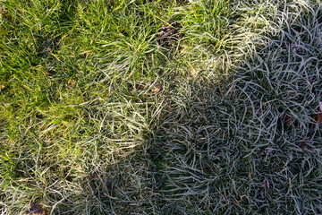 Winter frost on the grass in the shade and melted grass in the sun in one frame, separated by a diagonal. Spring fights winter. The concept of changing the seasons of the year. Background, copy space.