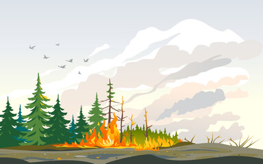 Burning forest spruces in fire flames, nature disaster concept illustration background, poster danger, careful with fires in the woods © Oceloti