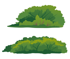 Set of two green bushes, thick green shrub with branches, elements of undergrowth vegetation