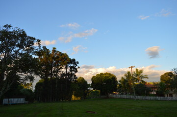 sunset over the park