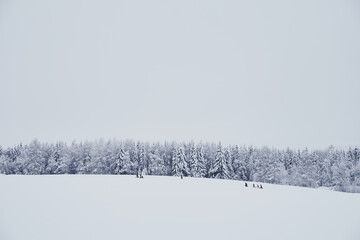 kids plying on a field in winter