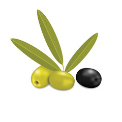 Green and black olives with leaves isolated on a white background