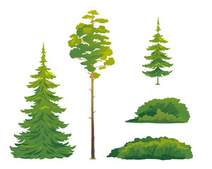 Set of forest trees and bushes, green tall spruce tree, European spruce evergreen coniferous tree, green tall pine tree, white spruce evergreen coniferous tree, green bushes