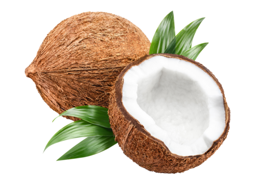 Delicious coconuts cut out