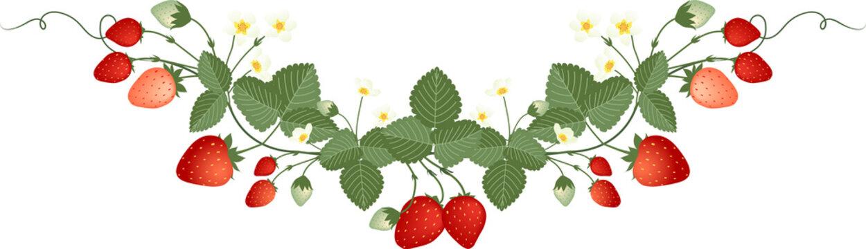 Strawberries Frame  