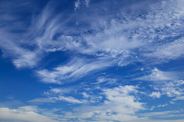 秋空と雲