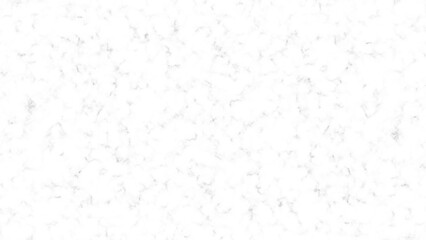 White marble background texture natural stone pattern.Abstract light elegant black for do floor ceramic counter texture stone slab smooth tile gray silver.Marble texture for skin tile luxurious design