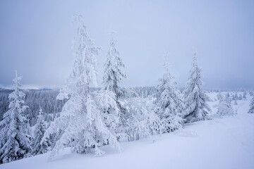 Winter landscape in the Tatra Mountains.