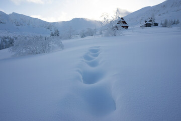 Fototapeta na wymiar Winter landscape in the Tatra Mountains. Gasienicowa Valley.