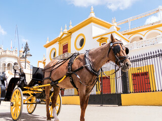 Naklejka na ściany i meble Horses carriage in front of the Maestranza bullring in Seville.