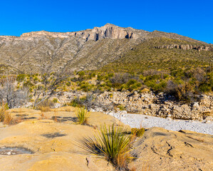 Dry Wash in McKittrick Canyon With Wilderness Ridge in The Distance, Guadalupe Mountains National Park, Texas, USA