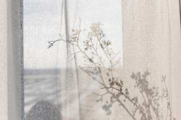 Blooming cherry branch shadow on tulle at window. Spring flowers in vase. Simple countryside living, home rustic decor. Space for text. Hello spring