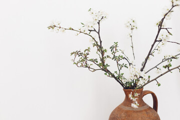 Blooming cherry branches against white wall. Spring flowers in vintage vase. Simple countryside...