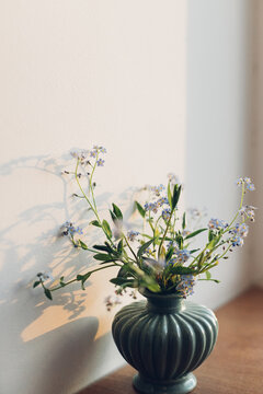 Beautiful little blue flowers in vase in warm evening sunlight on rustic wooden table. Delicate myosotis petals, forget me not spring flowers. Simple countryside living, home decor