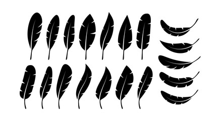 Bird Feather. Quill feather silhouette icon. Vector stock illustration © DG-Studio