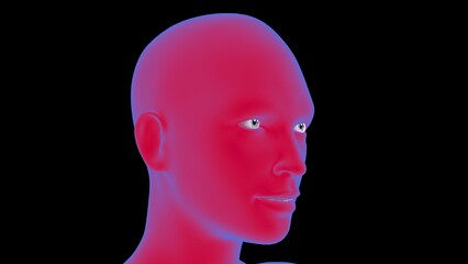 Female anatomy Human Face 3D Rendering