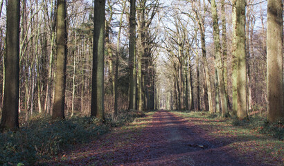 Enghien, Belgium - January 17, 2023 : beautiful view of Enghien park