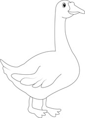 Duck White and Black Illustration for kids Coloring Book
