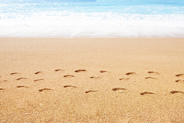 footprints on the coastal sea sand