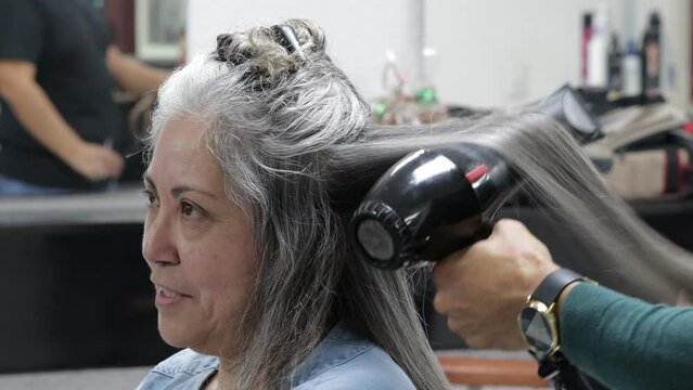 Hairstylist with hair dryer combing long gray hair of senior adult woman, procedure in beauty salon, side view expression, profile view. Fashion and beauty concept