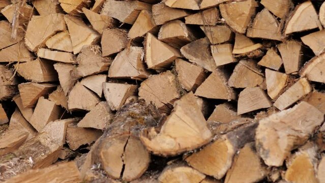 A lot of firewood harvested for winter for heating.