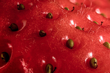 extreme macro photo on strawberry