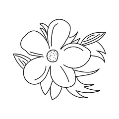 Hand drawn black and white allamanda flower. Allamanda flower in minimal illustration isolated. vector illustration