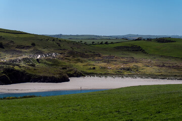 Fototapeta premium Shrub-covered dunes on the shore of the Atlantic Ocean on a spring. Green grass covered mountain beside blue sea