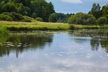 lake in the forest