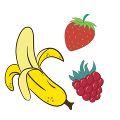 Peeled banana, raspberry and strawberry vector illustration. Juicy ripe fruits on white background. Berry, vegetarian, sweet, proper nutrition, dessert. Floral ornament. Fruit concept