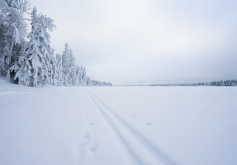 Low perspective of a ski trail on a large snow covered lake under a grey sky. The ski tracks disappear in the distance. The trees on the shoreline are covered with thick snow.
