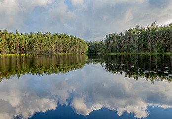 a beautiful lake and a bridge in the forest