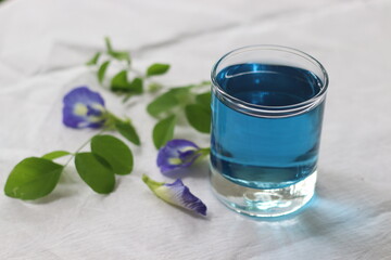 Butterfly pea flower tea. A herbal tea made with flowers of the Clitoria ternatea plant