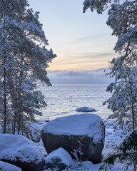 landscape with snow covered trees and sea