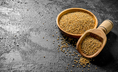 Mustard on a plate and a scoop.