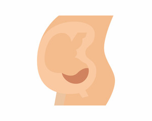 Pregnancy woman, baby in the womb.