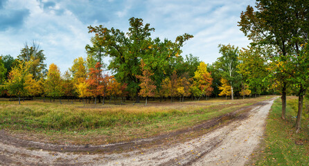 Fototapeta na wymiar Walk along a country path in the forest with colorful autumn foliage on a windless day in early autumn. A long forest path through the trees. Ukraine.