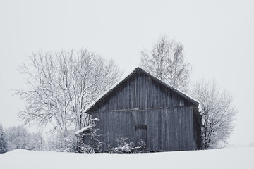 Abandoned barn of rural Toten, Norway, after a snowfall.
