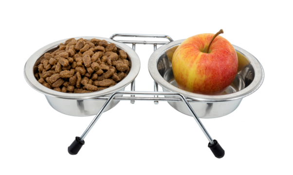 Natural food in a bowl as opposed to dry dog ​​food. The owner's choice when feeding pets