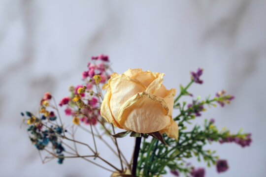 A colorful bouquet of flowers, a close -up photo, a bunch of dry flow.